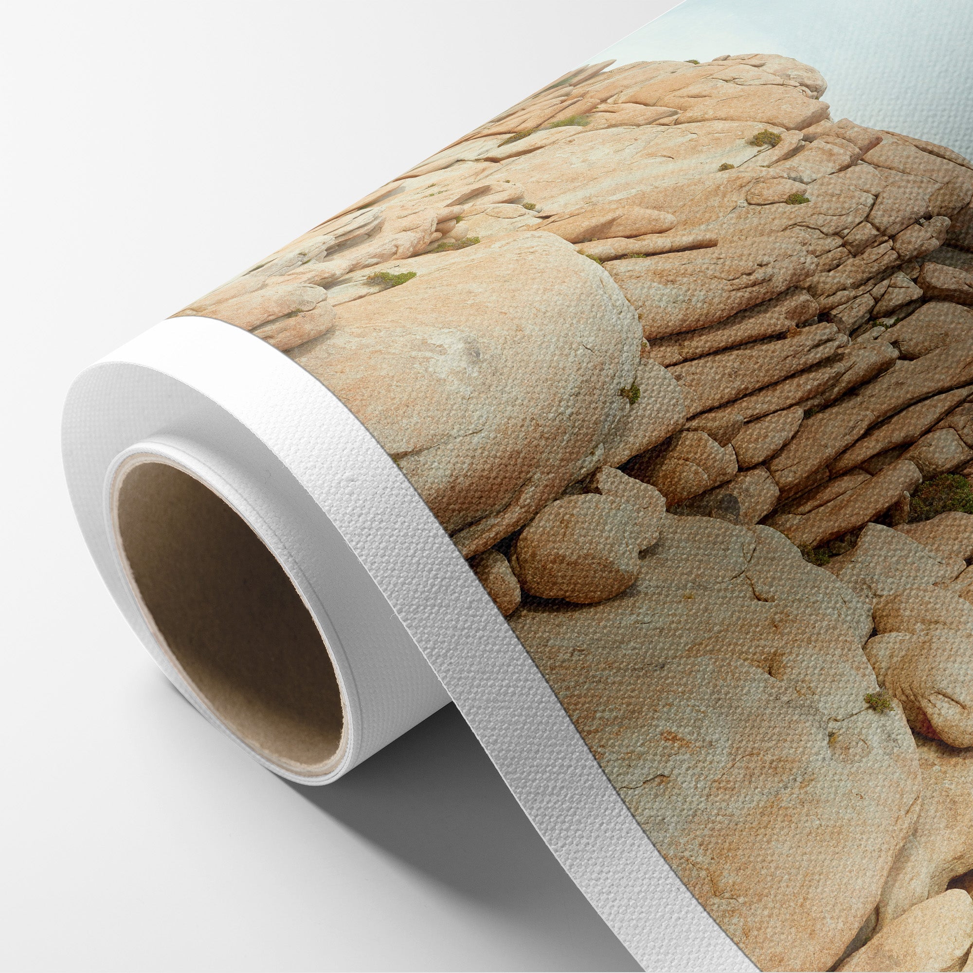 Joshua Tree Canvas Wall Art, &#39;Joshua Rocks&#39;