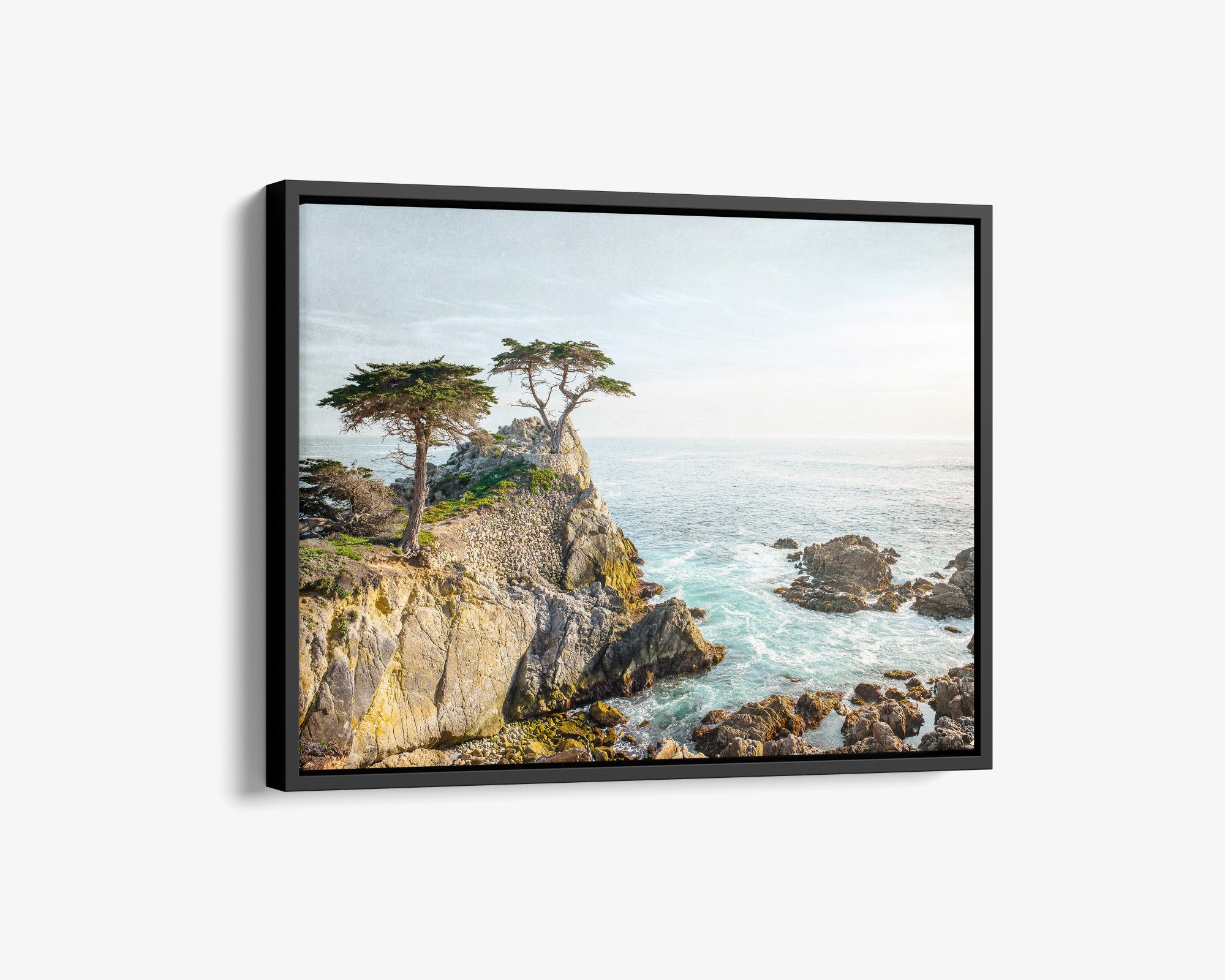 California Coastal Canvas Wall Art, &#39;Lone Cypress&#39;