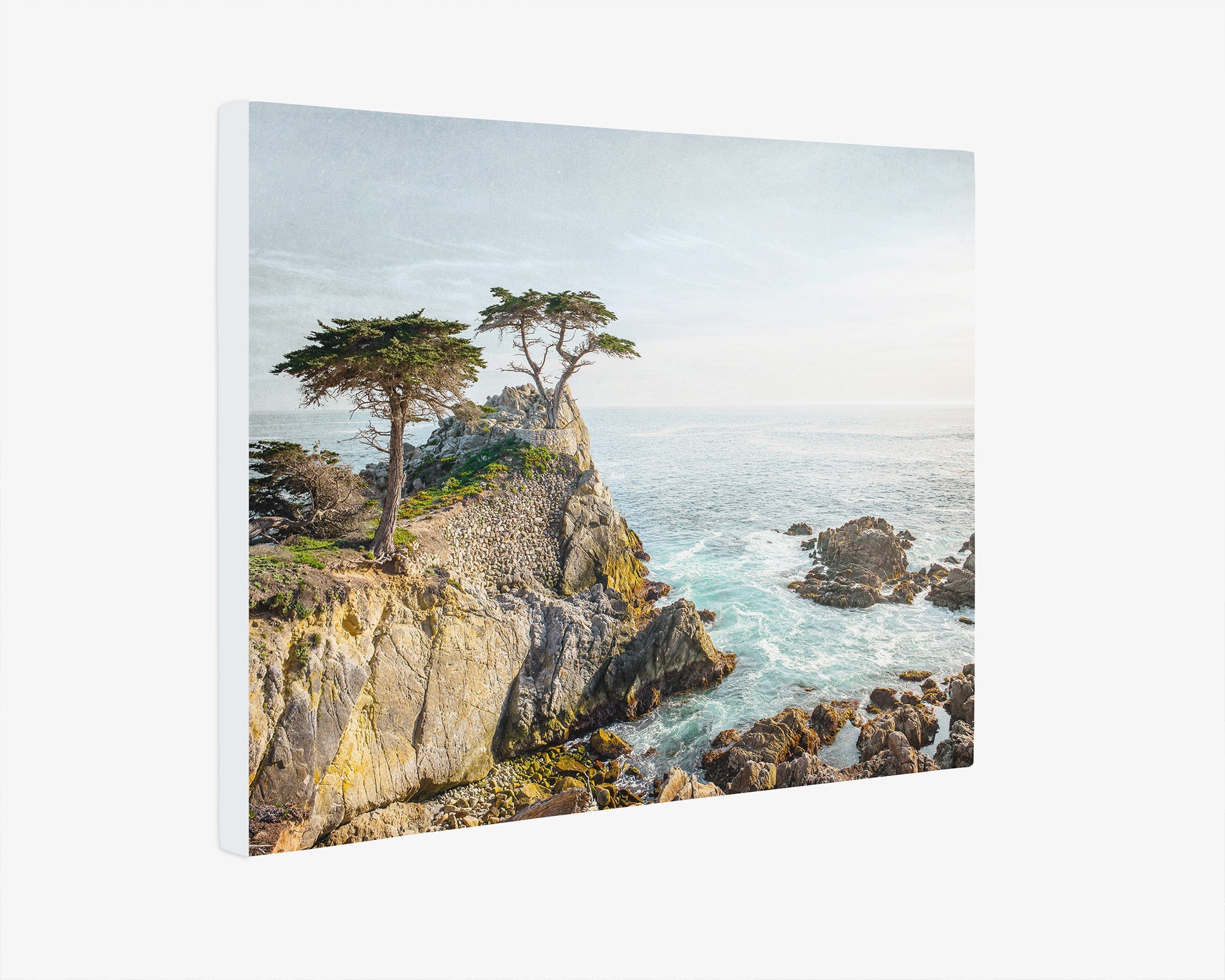 California Coastal Canvas Wall Art, &#39;Lone Cypress&#39;