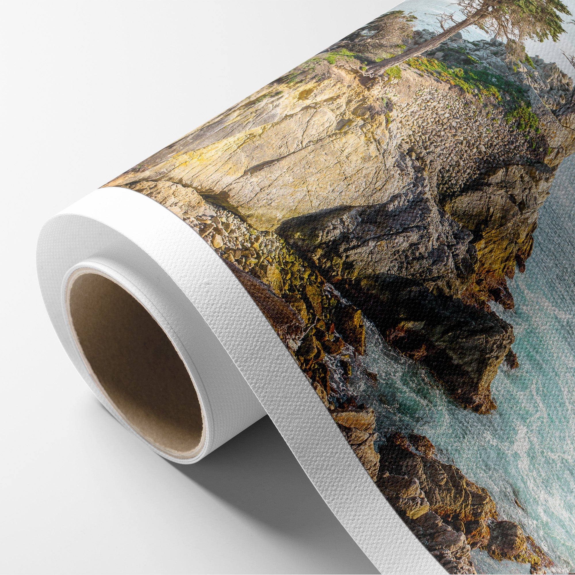 California Coastal Canvas Wall Art, &#39;Lone Cypress&#39;