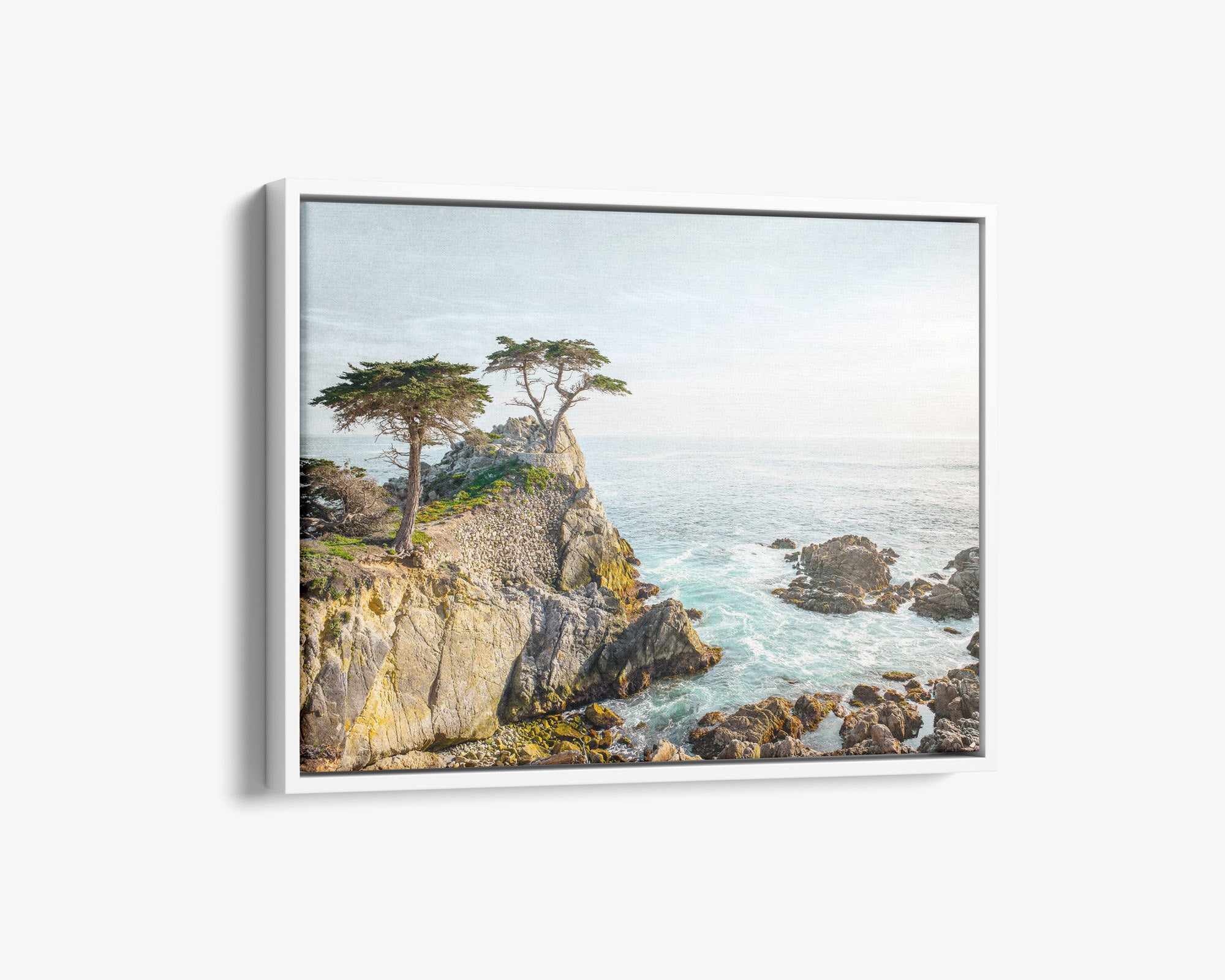 California Coastal Canvas Wall Art, &#39;Lone Cypress&#39;