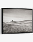 California Central Coast Landscape Canvas Wall Decor 'Golden Ynez (Black & White)'