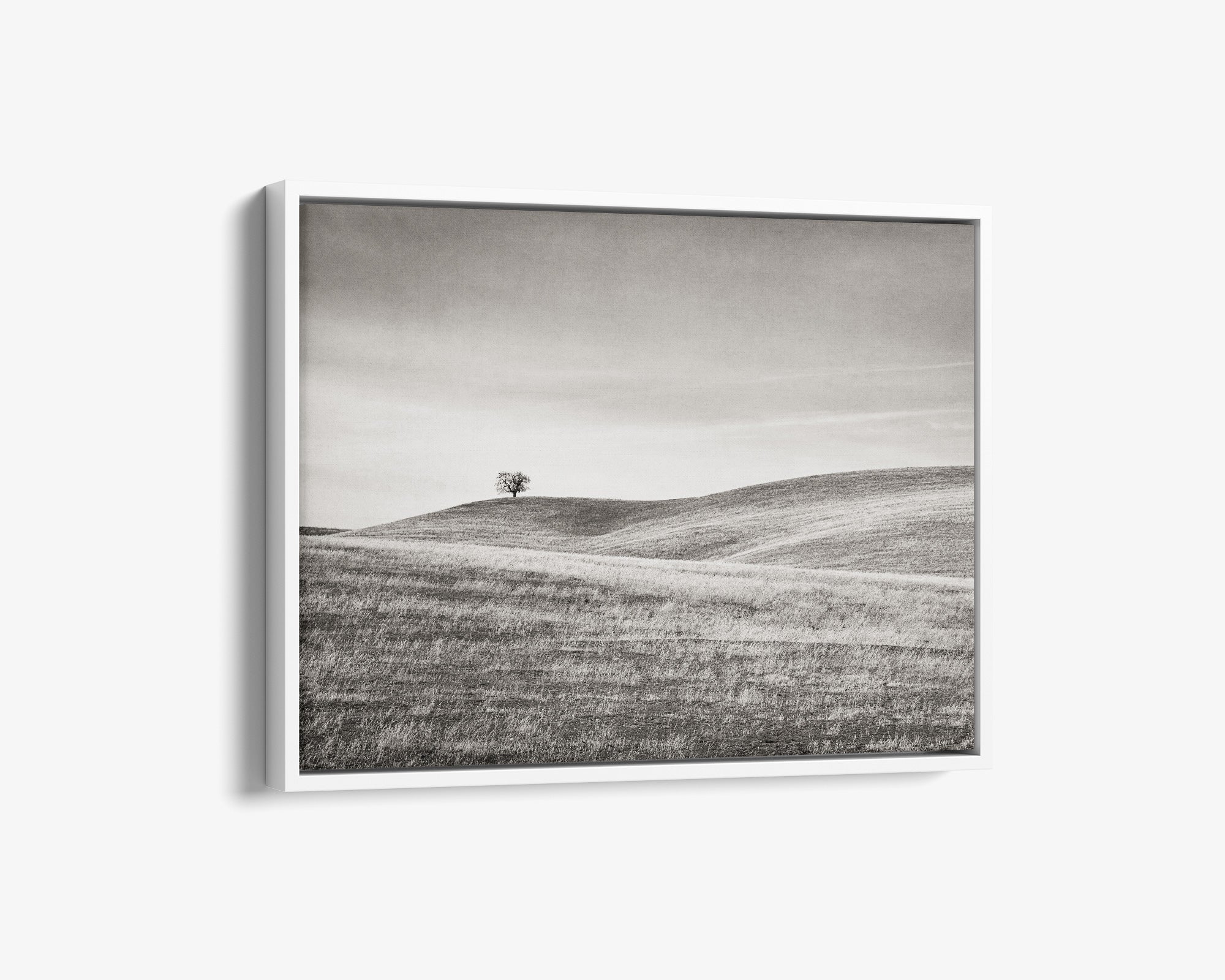 California Central Coast Landscape Canvas Wall Decor &#39;Golden Ynez (Black &amp; White)&#39;