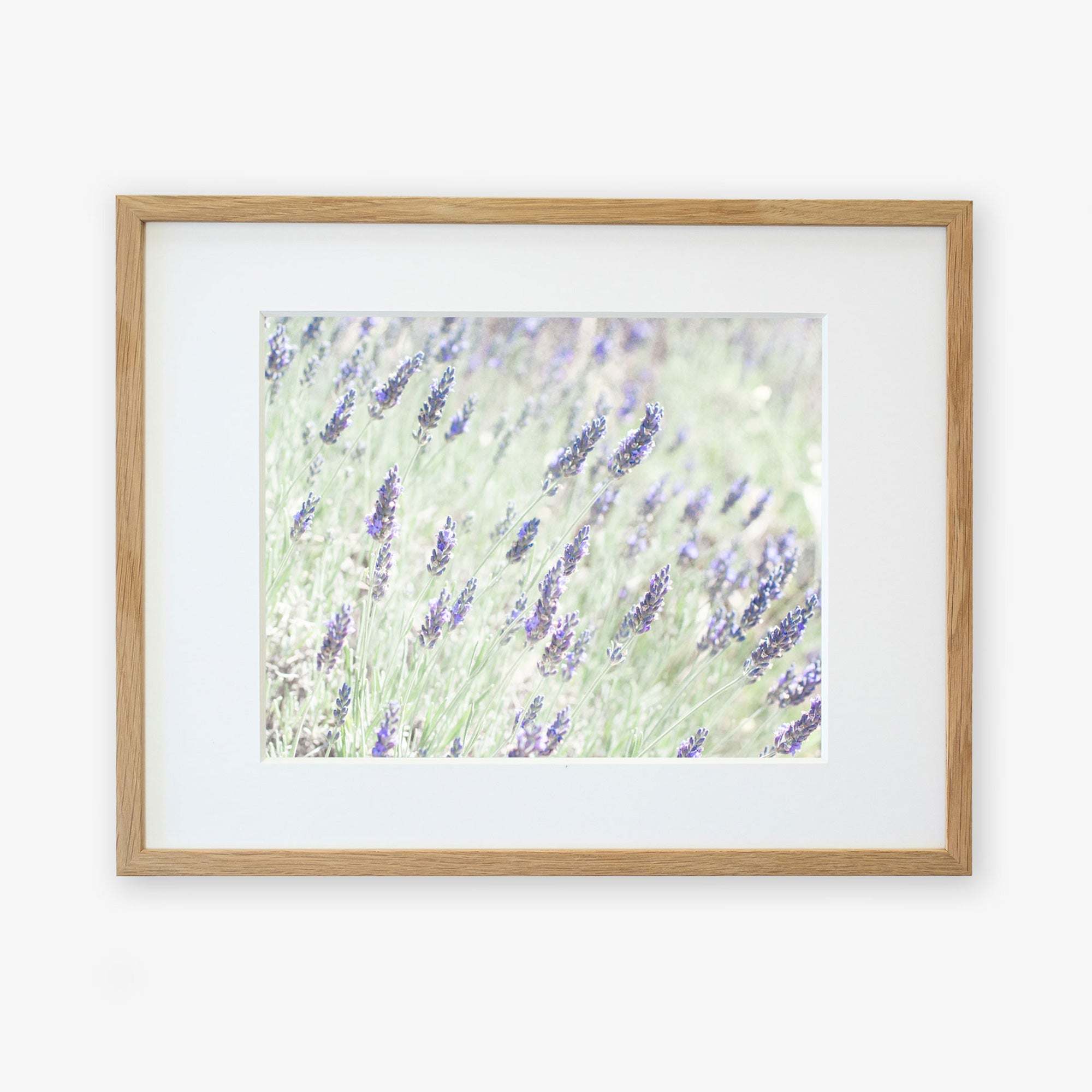 A framed photograph of Floral Purple Print, &#39;Lavender for LaLa&#39; flowers in bloom, printed on archival photographic paper, displayed with a light natural wood frame, against a white background by Offley Green.