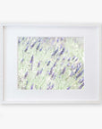 A framed photograph of a Floral Purple Print, 'Lavender for LaLa' by Offley Green, depicting a lavender field focused on several violet lavender blossoms against a softly blurred green background. The frame is simple and white, printed on archival photographic paper.
