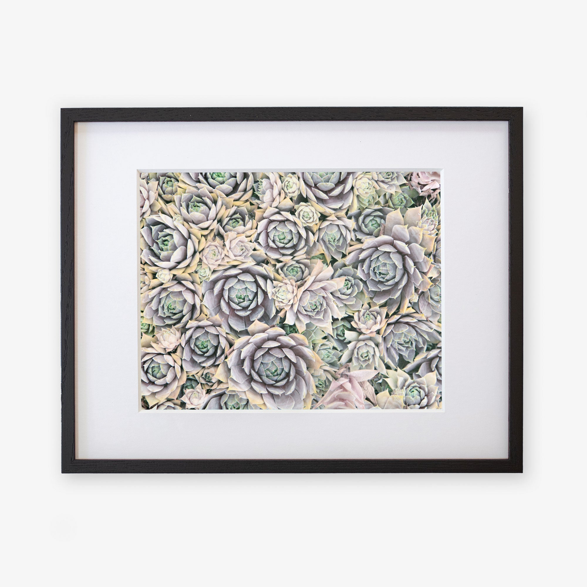 Black oak frame with matting