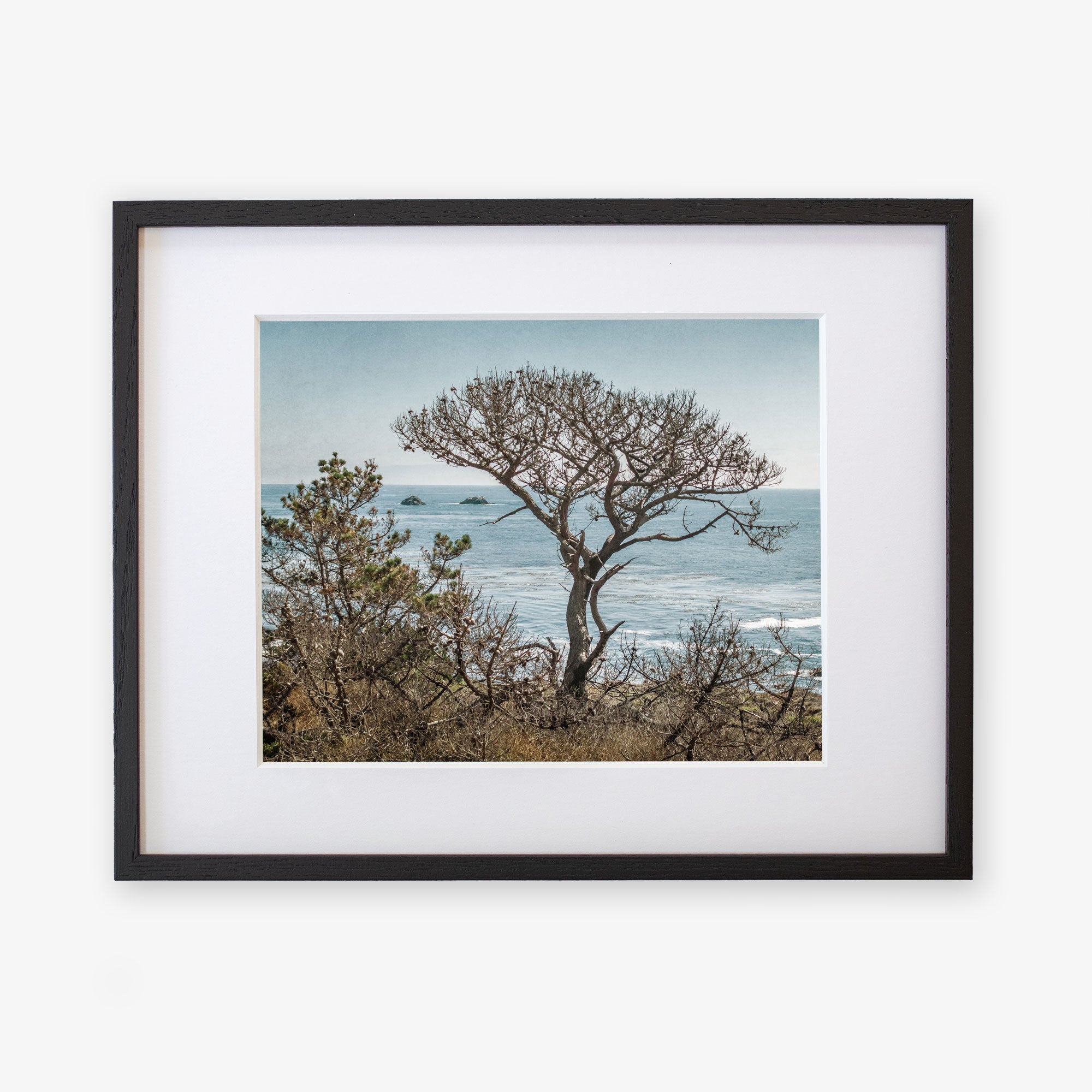 Unframed picture of a California Landscape Art in Big Sur, &#39;Wind Blown Tree&#39; by Offley Green, featuring a windswept tree against a backdrop of the sea and distant islands, displayed on a white background.