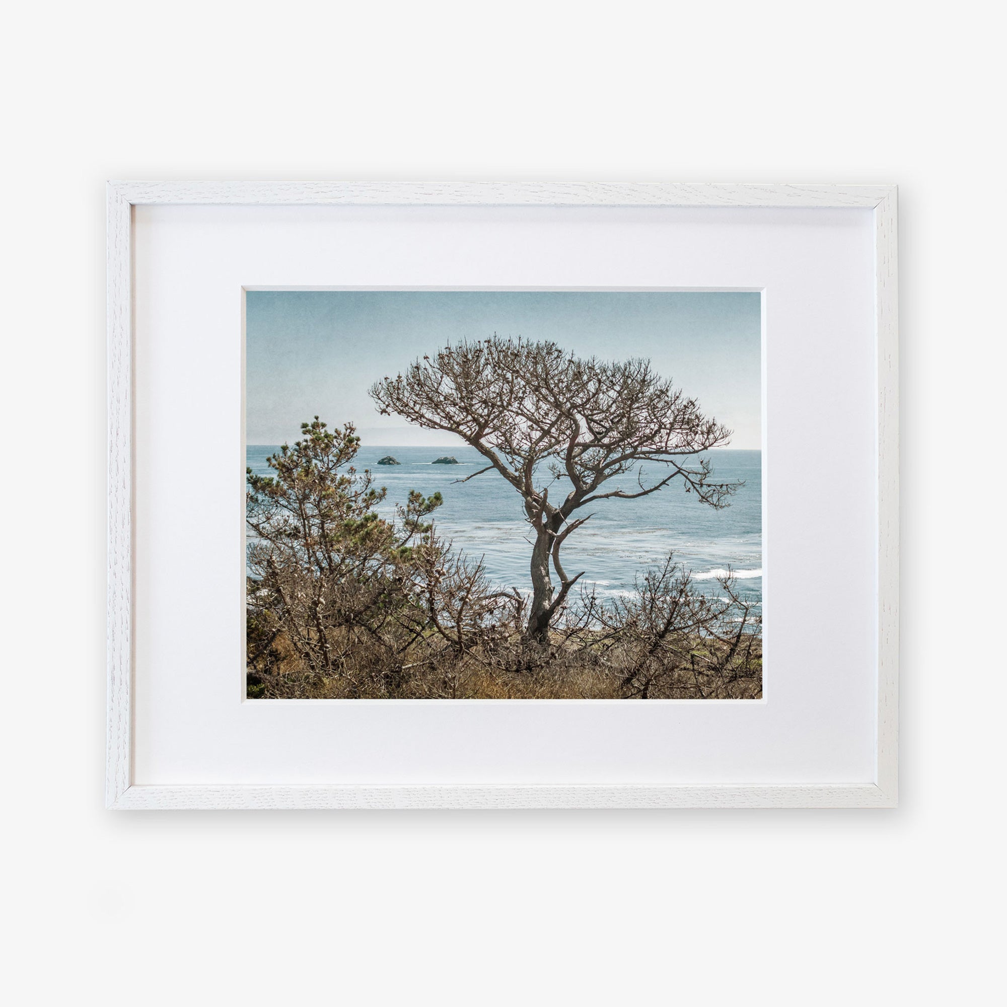 A framed artwork of Offley Green&#39;s California Landscape Art in Big Sur, titled &#39;Wind Blown Tree&#39;, depicting a windswept tree overlooking a calm sea with small islands in the distance, set against a light blue sky.