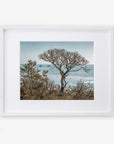 A framed artwork of Offley Green's California Landscape Art in Big Sur, titled 'Wind Blown Tree', depicting a windswept tree overlooking a calm sea with small islands in the distance, set against a light blue sky.