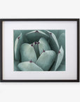Framed photograph of a Abstract Teal Green Botanical Print 'Teal Petals' by Offley Green, featuring thick, green leaves with purple tips, printed on archival photographic paper and displayed against a simple white background.