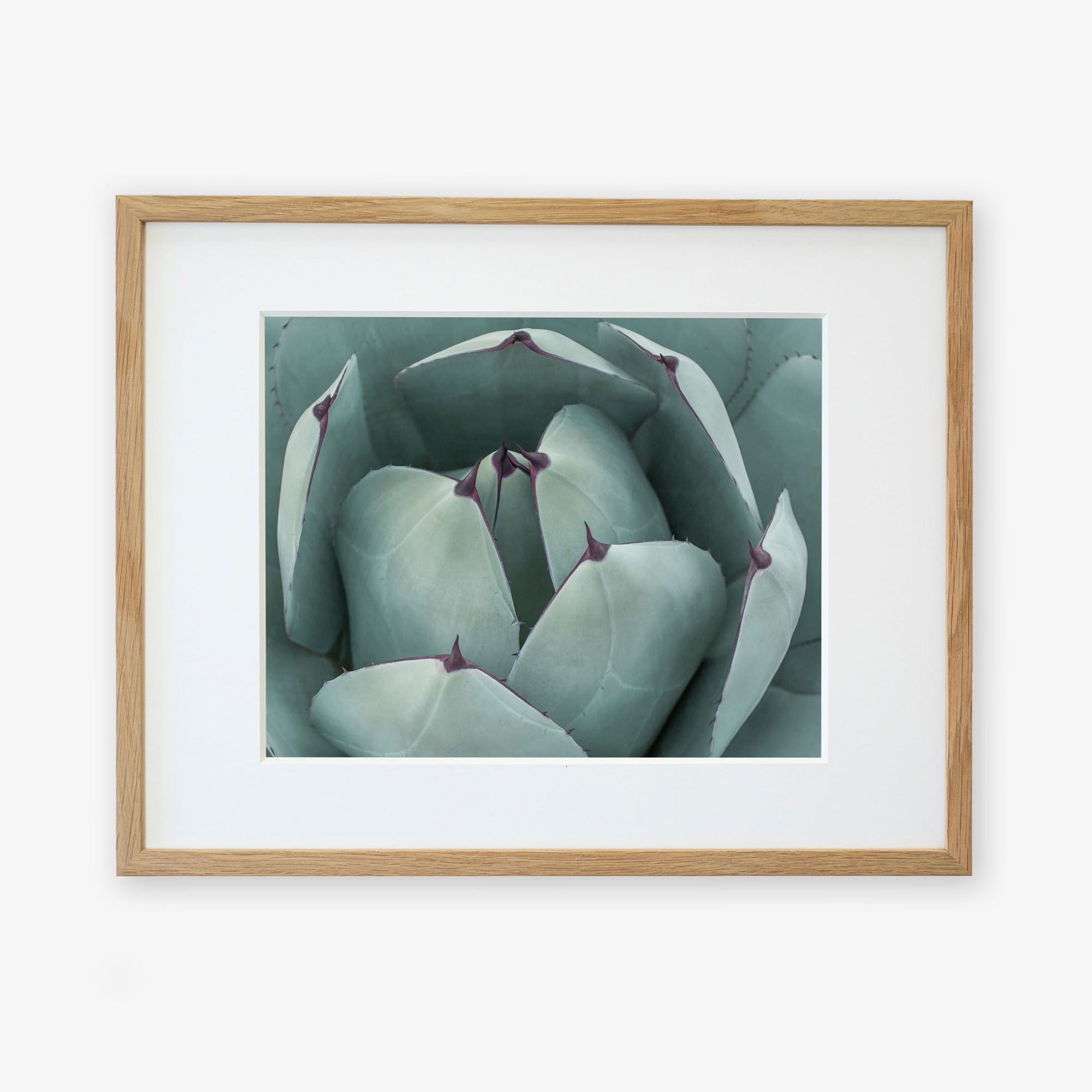 A framed photograph of an Abstract Teal Green Botanical Print, 'Teal Petals' by Offley Green, printed on archival photographic paper and displayed against a soft, blurred background.