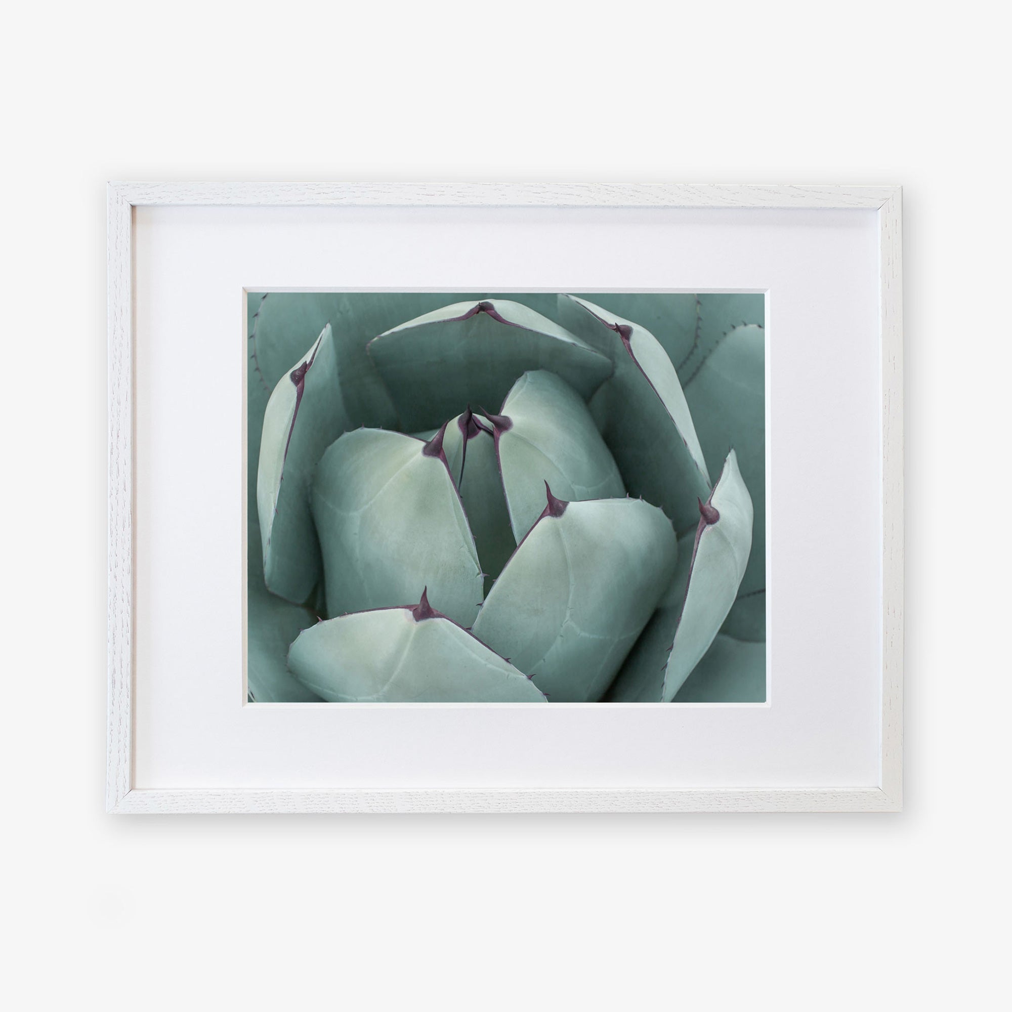 Unframed photograph of Abstract Teal Green Botanical Print &#39;Teal Petals&#39; by Offley Green, displayed against a white background.