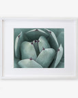 Unframed photograph of Abstract Teal Green Botanical Print 'Teal Petals' by Offley Green, displayed against a white background.