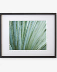 A framed photograph of an Abstract Green Botanical Print, 'Strands and Spikes' by Offley Green, displayed against a white background within a black frame.