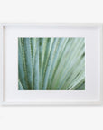 White oak frame with matting
