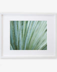 A framed photograph of Abstract Green Botanical Print, 'Strands and Spikes' by Offley Green, visually emphasizing texture and natural patterns, printed on archival photographic paper and displayed in a simple white frame against a white backdrop.