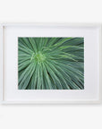 White oak frame with matting