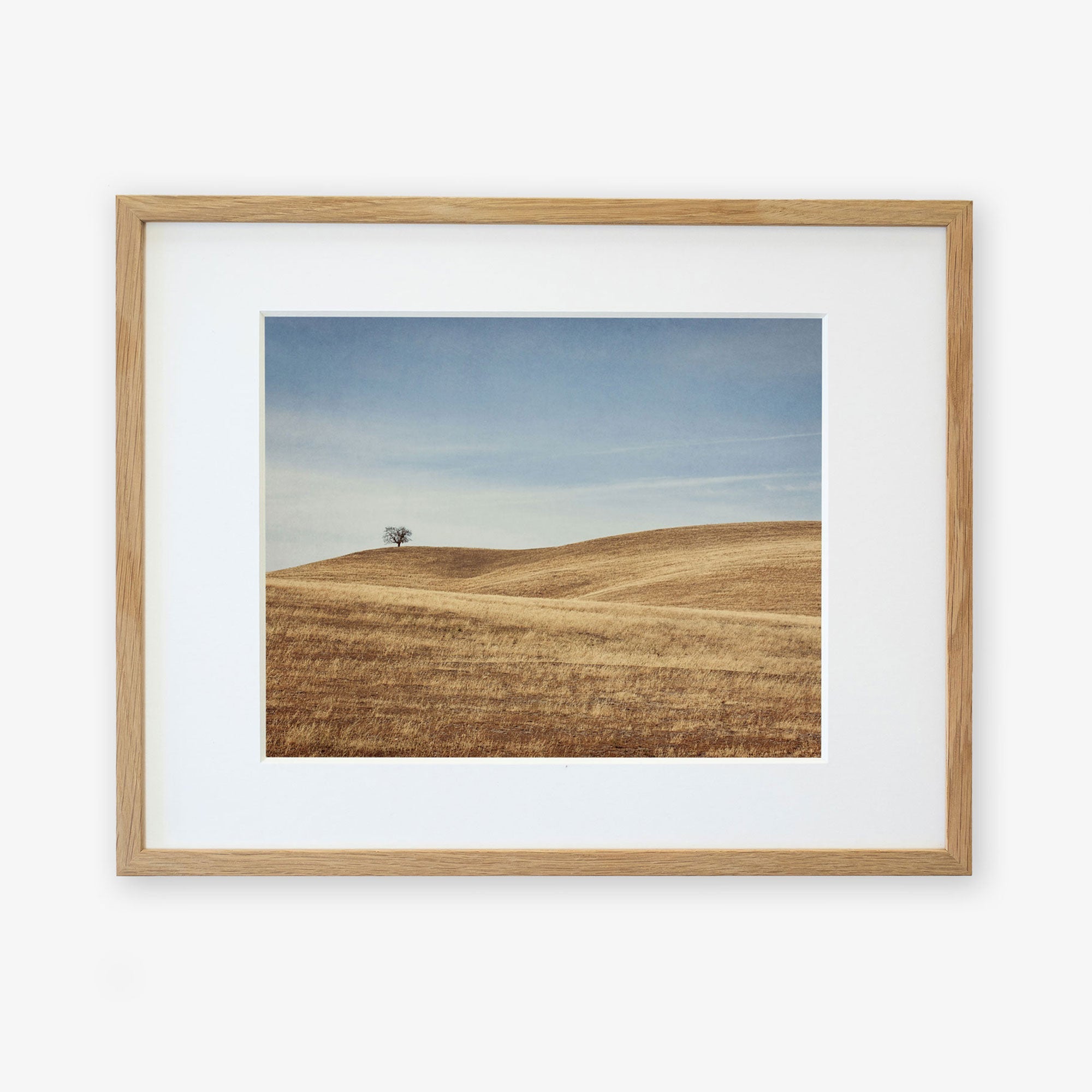 A framed photograph of a serene landscape featuring rolling golden hills and a solitary tree in the Santa Ynez Valley, displayed on a white background. This is the Offley Green California Central Coast Landscape Print 'Golden Ynez'.