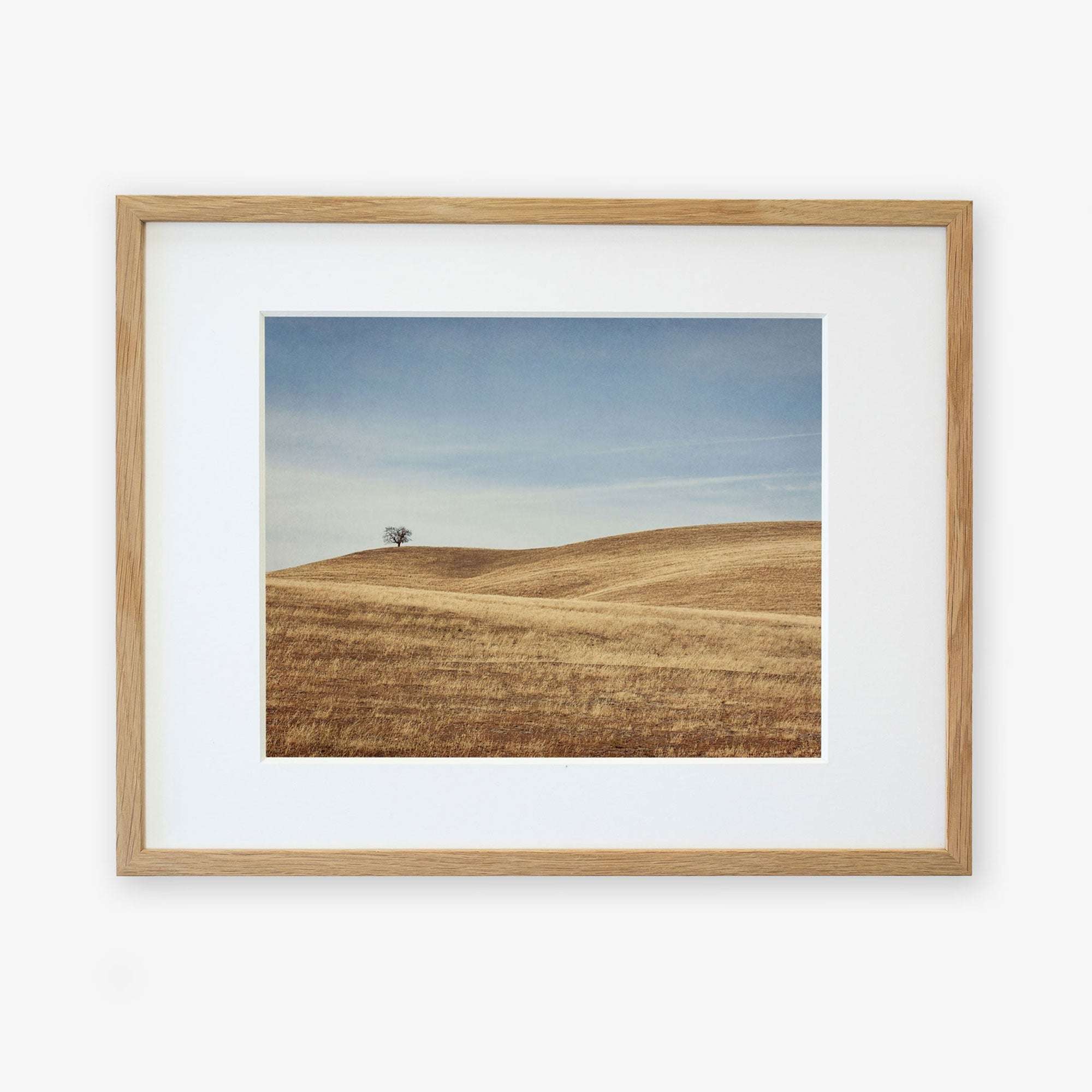 A framed photograph of a serene landscape featuring rolling golden hills and a solitary tree in the Santa Ynez Valley, displayed on a white background. This is the Offley Green California Central Coast Landscape Print 'Golden Ynez'.