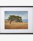 Black oak frame with matting