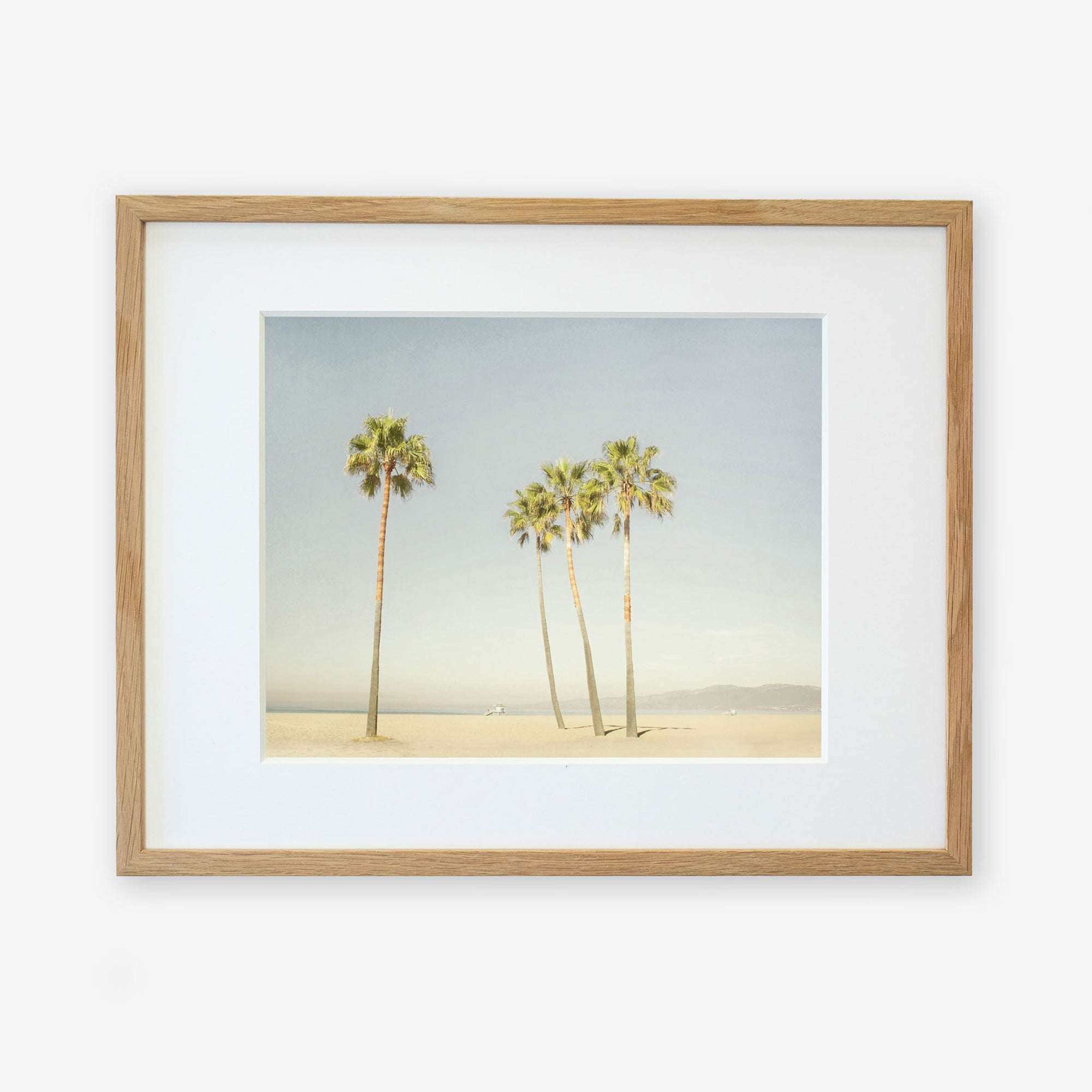 A framed photograph of four palm trees on a sandy beach under a clear sky, printed on archival photographic paper, displayed in a simple wooden frame with a white mat. - Offley Green&#39;s California Venice Beach Print, &#39;Boardwalk Palms&#39;