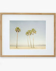 A framed photograph of four palm trees on a sandy beach under a clear sky, printed on archival photographic paper, displayed in a simple wooden frame with a white mat. - Offley Green's California Venice Beach Print, 'Boardwalk Palms'