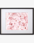 A framed photograph of Pink Botanical Print 'Bed of Lilacs' flowers, displayed against a white background, printed on archival photographic paper by Offley Green.
