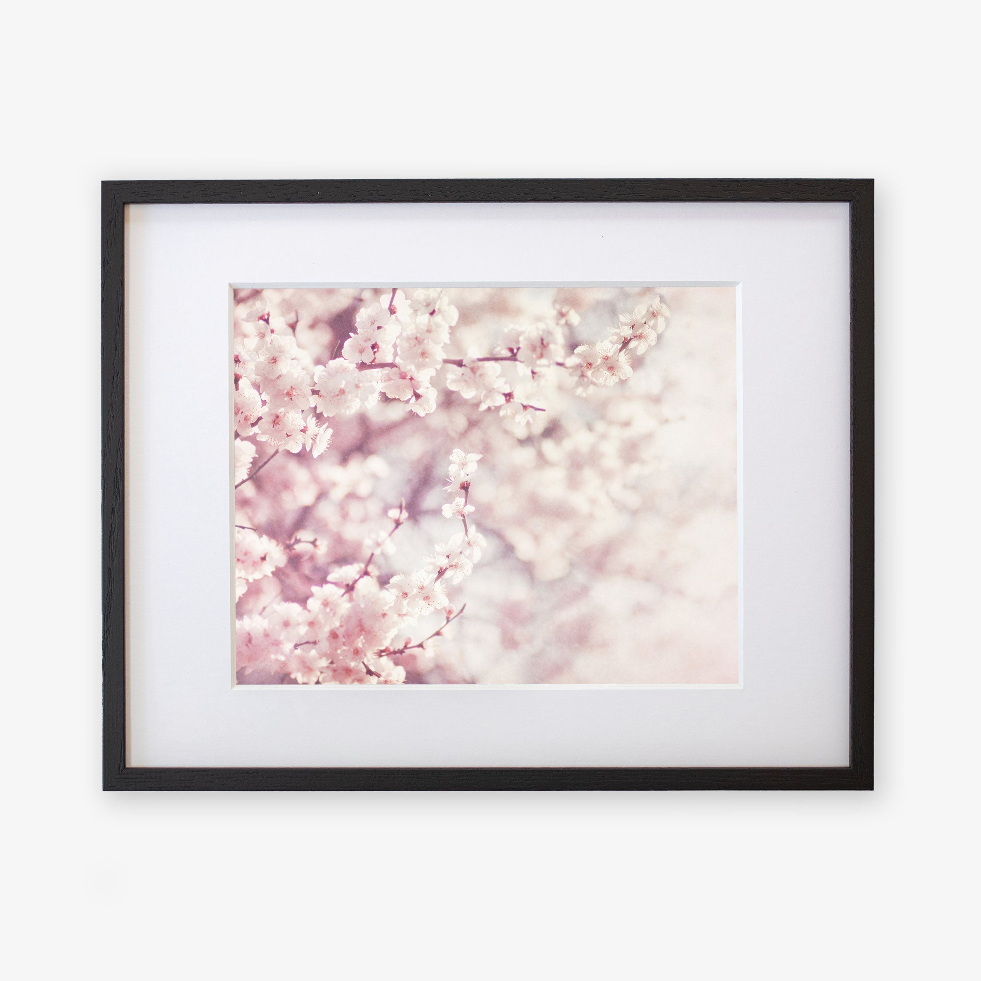A framed photograph depicting a close-up view of delicate pink cherry blossoms against a softly blurred background, highlighting the floral elegance and pastel hues, Pink Floral Print &#39;Dreamy Blossom&#39; by Offley Green.