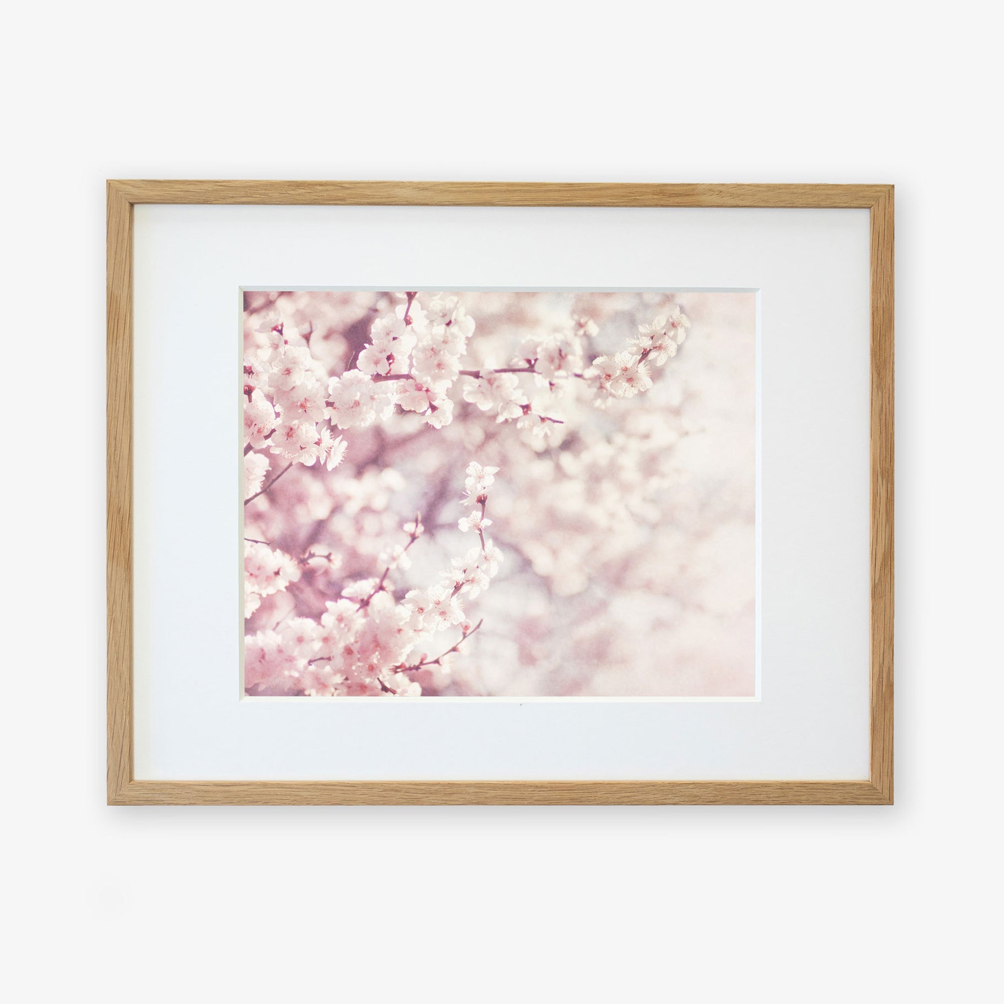 Framed pink floral print of pink cherry blossoms in full bloom, captured on archival photographic paper with a soft-focus background, in a light wooden frame against a white backdrop by Offley Green.