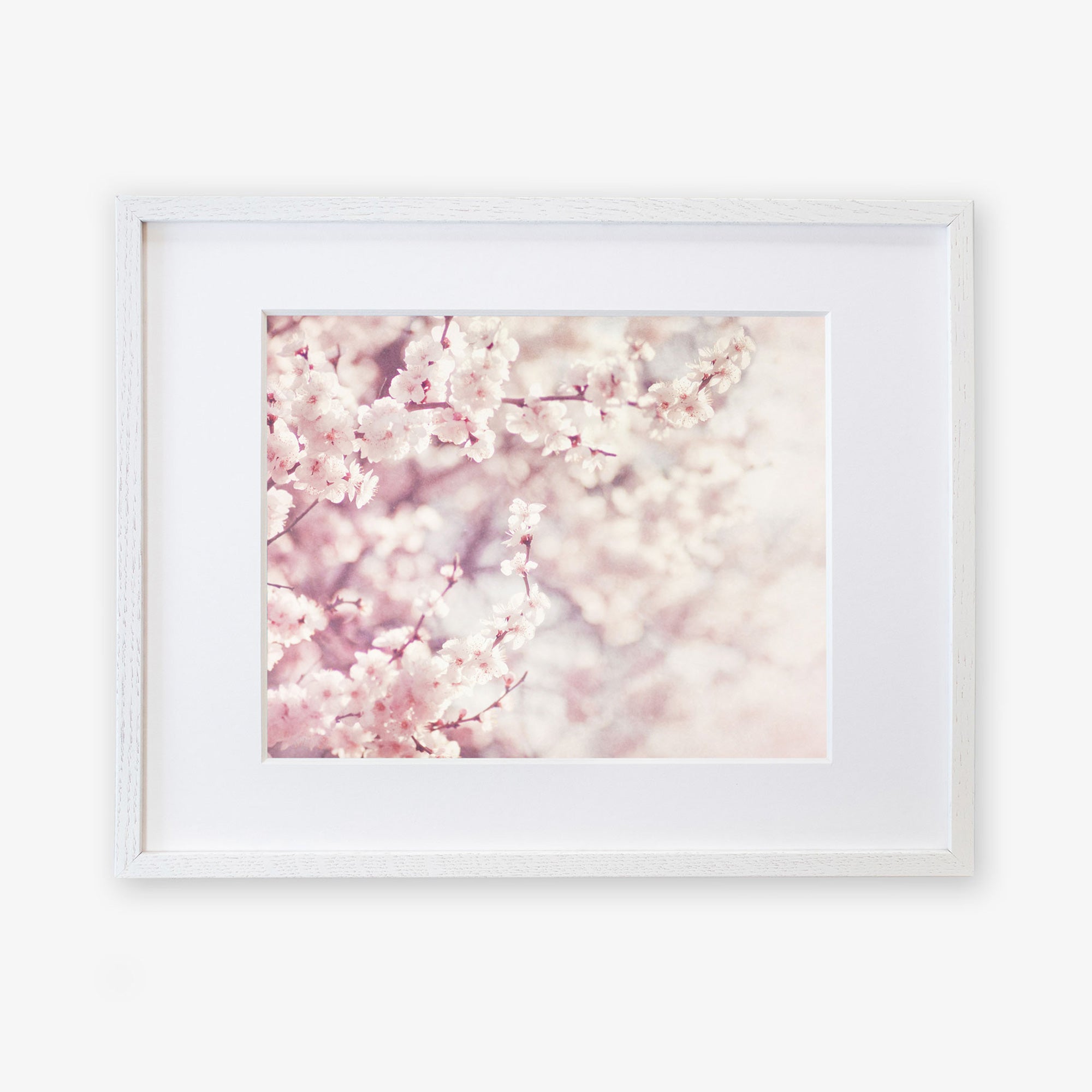 A framed photograph of cherry blossoms in full bloom, printed on archival photographic paper, featuring soft pink colors and delicate flowers densely clustered along the branches, displayed against a blurred background - Offley Green's Pink Floral Print, 'Dreamy Blossom'.