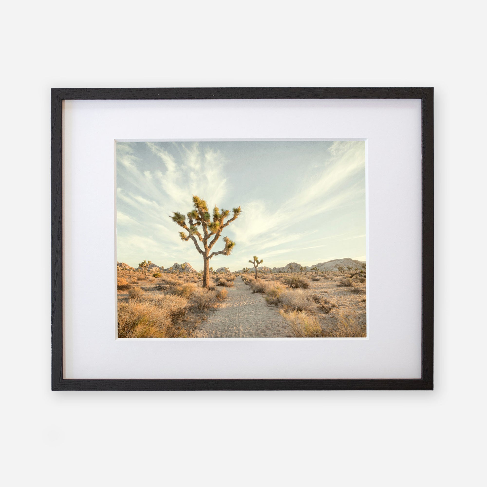 A framed photograph of a desert landscape in Joshua Tree, featuring a prominent joshua tree in the center, flanked by smaller trees and shrubs under a clear sky. - Offley Green&#39;s Joshua Tree Print, &#39;Path to Joshua&#39;