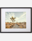 A framed photograph of a desert landscape in Joshua Tree, featuring a prominent joshua tree in the center, flanked by smaller trees and shrubs under a clear sky. - Offley Green's Joshua Tree Print, 'Path to Joshua'