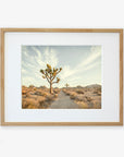 Joshua Tree Print, 'Path to Joshua'