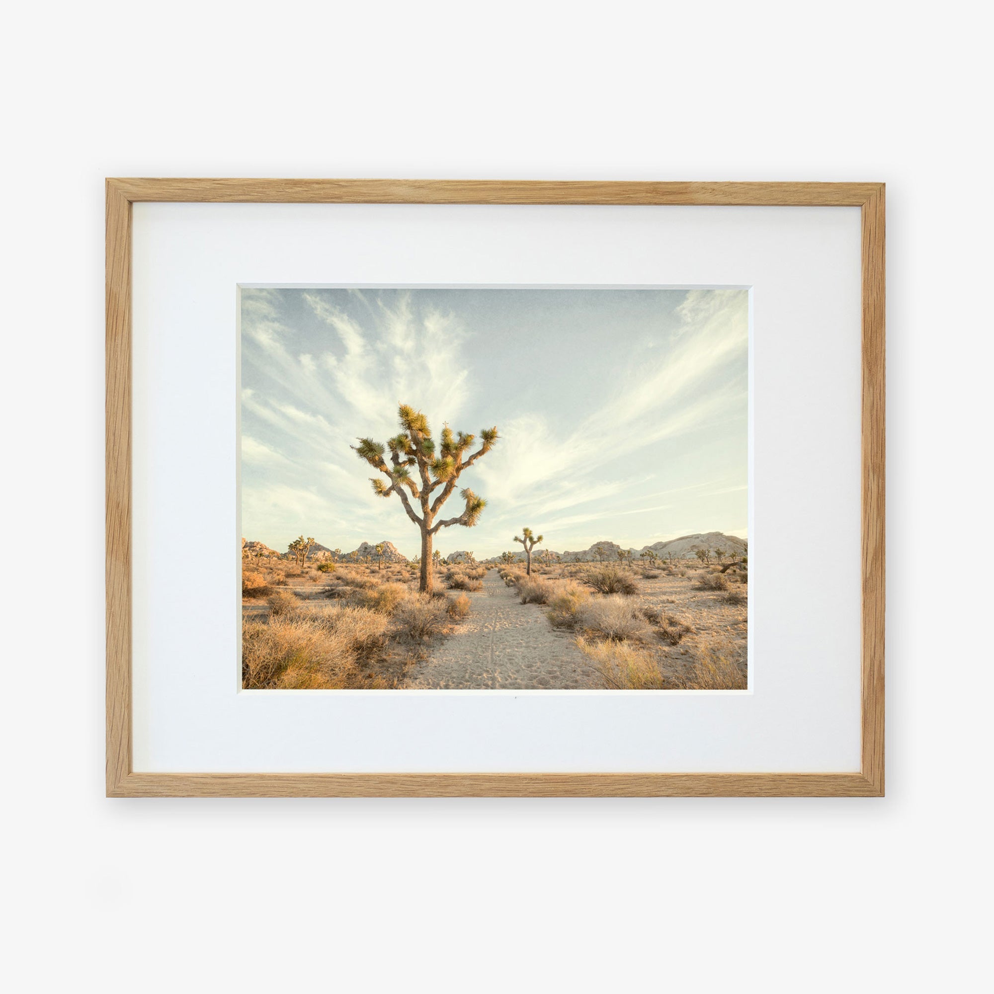 A framed photograph on archival photographic paper of a desert landscape featuring a Joshua Tree Print, 'Path to Joshua' in the foreground, under a clear sky, surrounded by arid terrain with sparse vegetation by Offley Green.