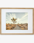 A framed photograph on archival photographic paper of a desert landscape featuring a Joshua Tree Print, 'Path to Joshua' in the foreground, under a clear sky, surrounded by arid terrain with sparse vegetation by Offley Green.