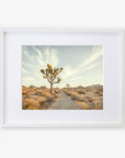 A framed photograph of a desert landscape featuring a prominent Joshua Tree under a sky streaked with wispy clouds, surrounded by sparse desert vegetation on archival photographic paper. 

Product Name: Offley Green Joshua Tree Print, 'Path to Joshua'