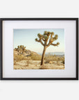 An unframed photograph of a Joshua Tree in a desert landscape with sparse vegetation and distant hills, under a clear sky, printed on archival photographic paper - Offley Green's Joshua Tree Print, 'Mighty Joshua'.