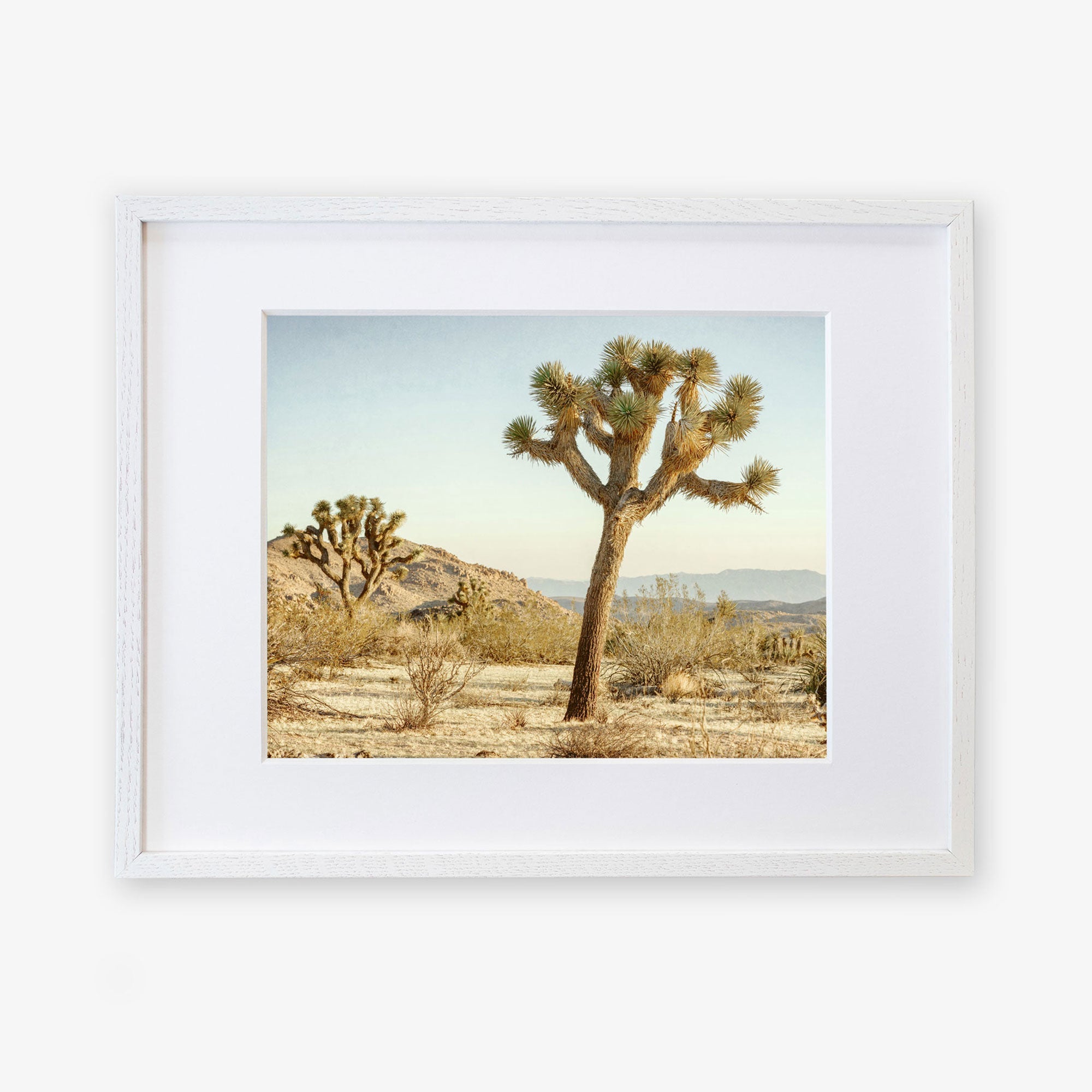 A framed photograph of a Mighty Joshua Tree Print from Offley Green in a desert landscape, featuring blue skies and sparse vegetation, displayed within a white rectangular frame against a white background.