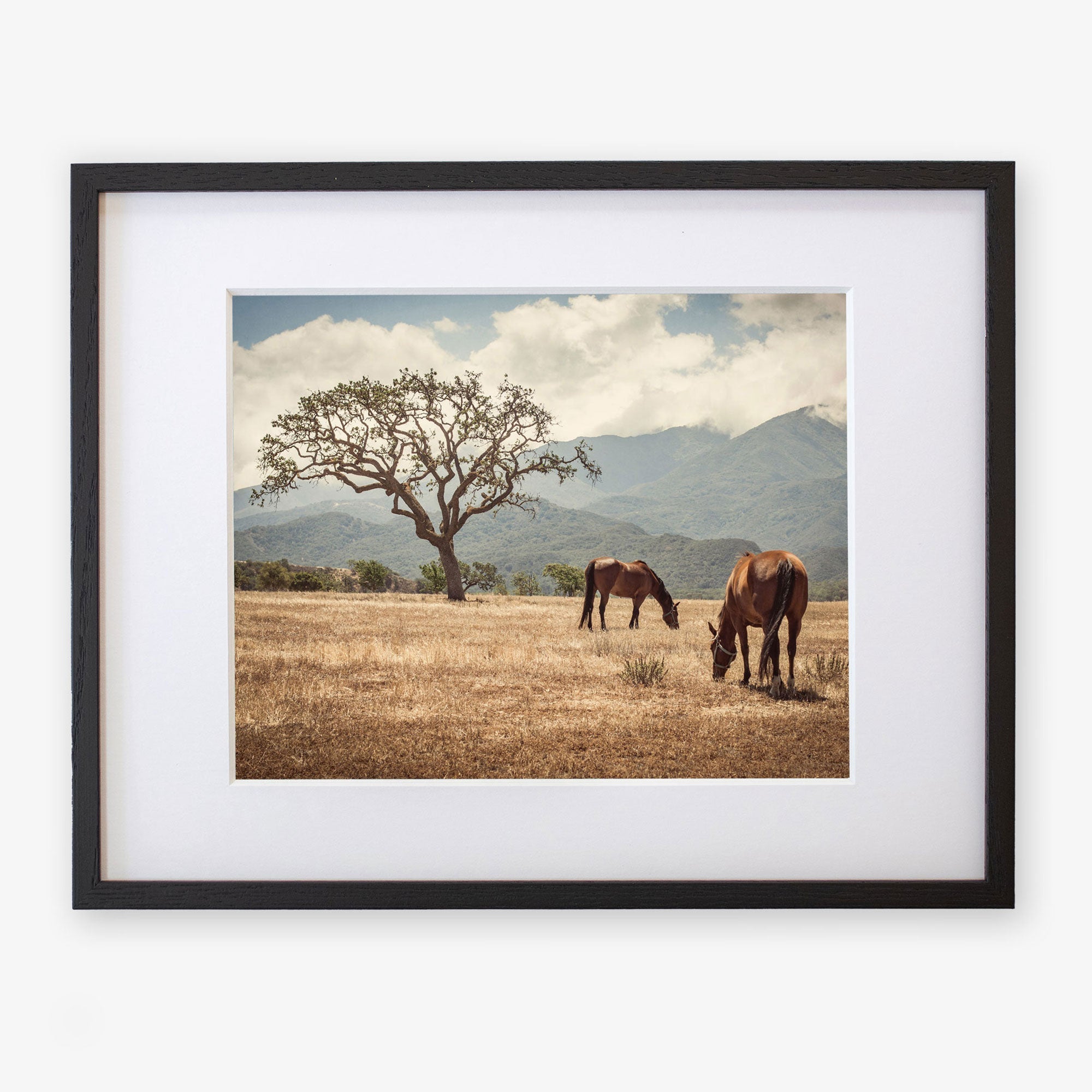 Framed rustic print of two horses grazing under a large tree in a golden field in Santa Ynez Valley, with a mountain range in the background, &#39;Santa Ynez Horses&#39; by Offley Green.