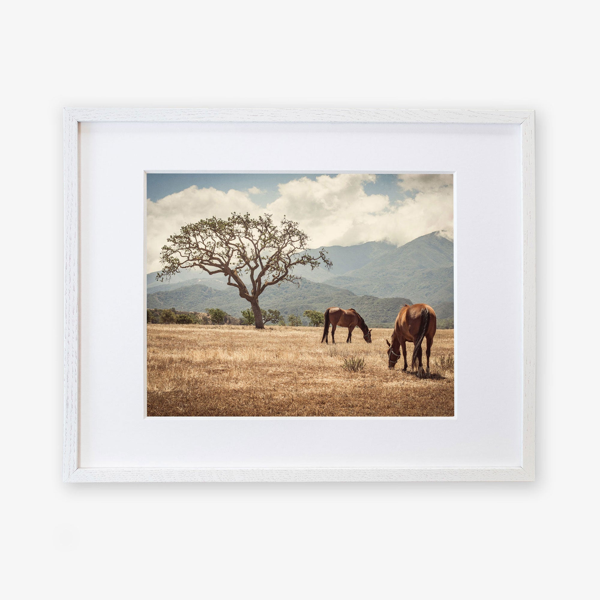 Framed image of two horses grazing under a broad tree in a golden field in Santa Ynez Valley with distant misty mountains under a light cloudy sky - Rustic Print of Horses in a Field, &#39;Santa Ynez Horses&#39; by Offley Green.