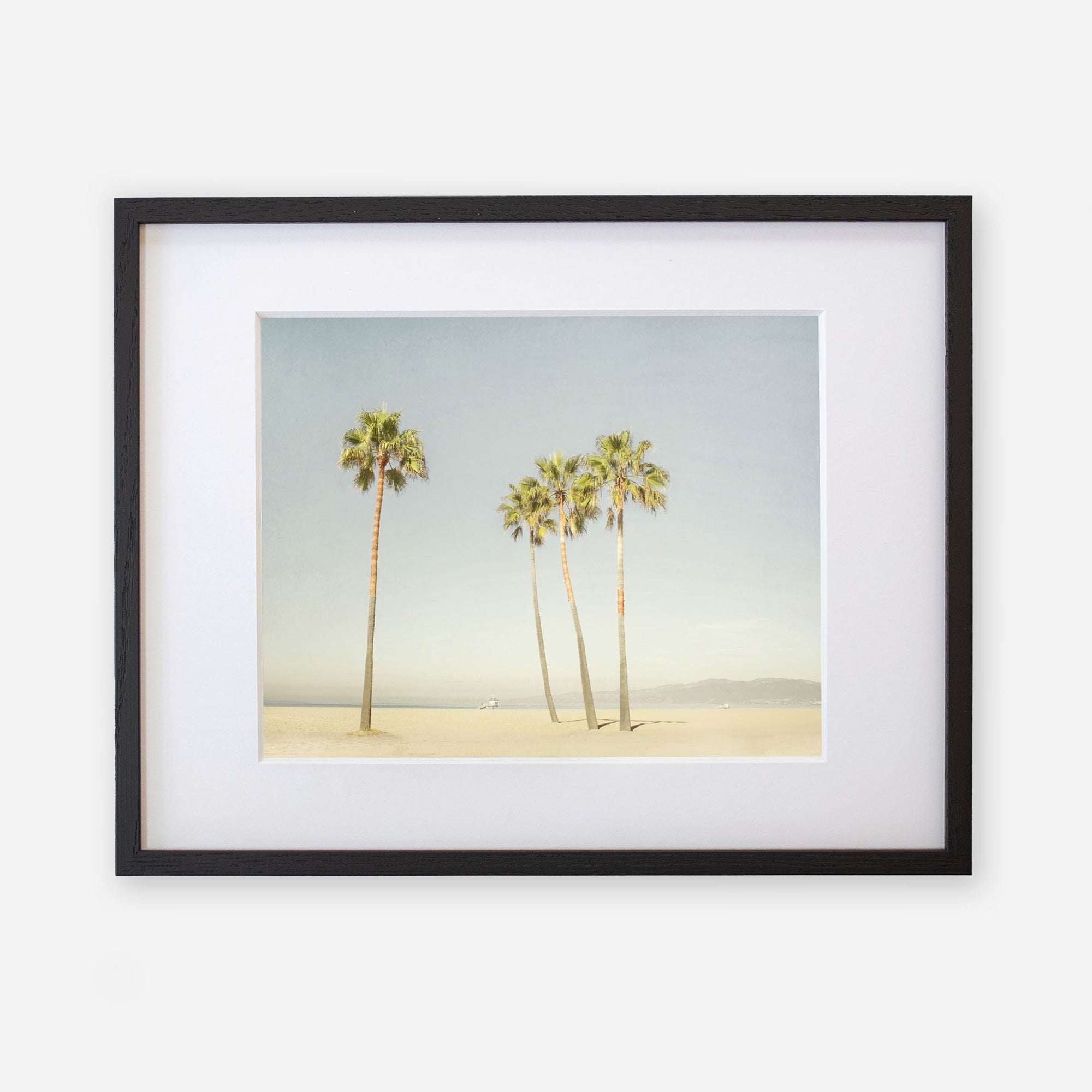 A framed photograph of five tall palm trees on a sunny, sandy beach at California Venice Beach, displayed against a clear sky. The frame is black with a white mat. Offley Green&#39;s &#39;Boardwalk Palms&#39; print.
