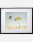 A framed photograph of five tall palm trees on a sunny, sandy beach at California Venice Beach, displayed against a clear sky. The frame is black with a white mat. Offley Green's 'Boardwalk Palms' print.