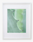 White oak frame with matting