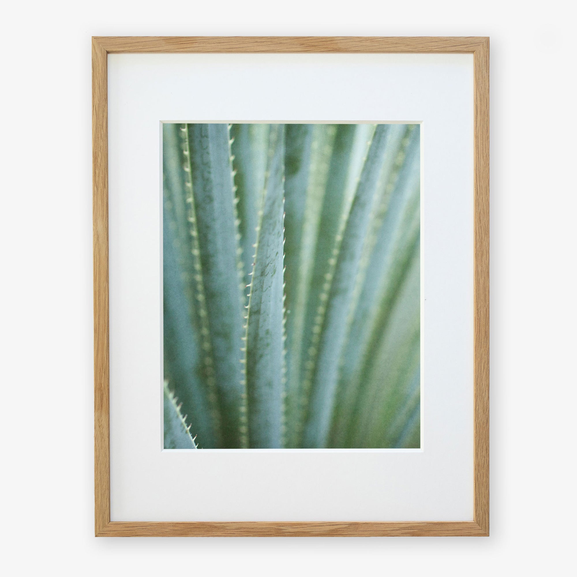 A framed photograph of the Green Botanical Print, 'Strands and Spikes II' by Offley Green, focusing on the elongated green leaves with spiky edges, displayed in a light wooden frame against a white background and printed on archival photographic paper.