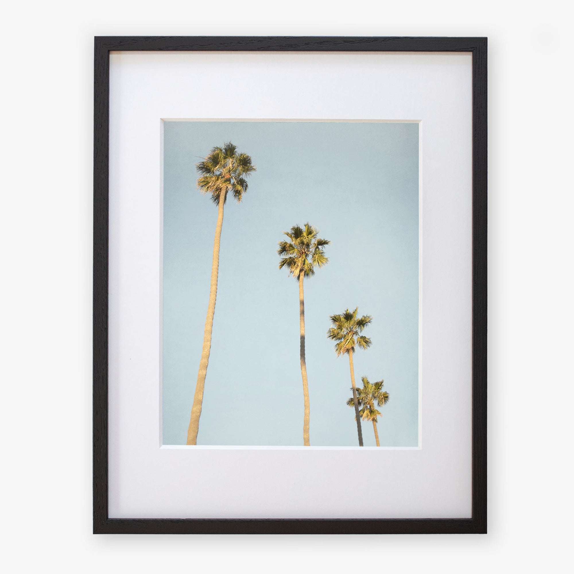 A framed Los Angeles Palm Tree Photographic Print &#39;Palm Stairs to Heaven&#39; depicting four tall palm trees against a clear California sky, with the tallest tree slightly leaning to the right by Offley Green.