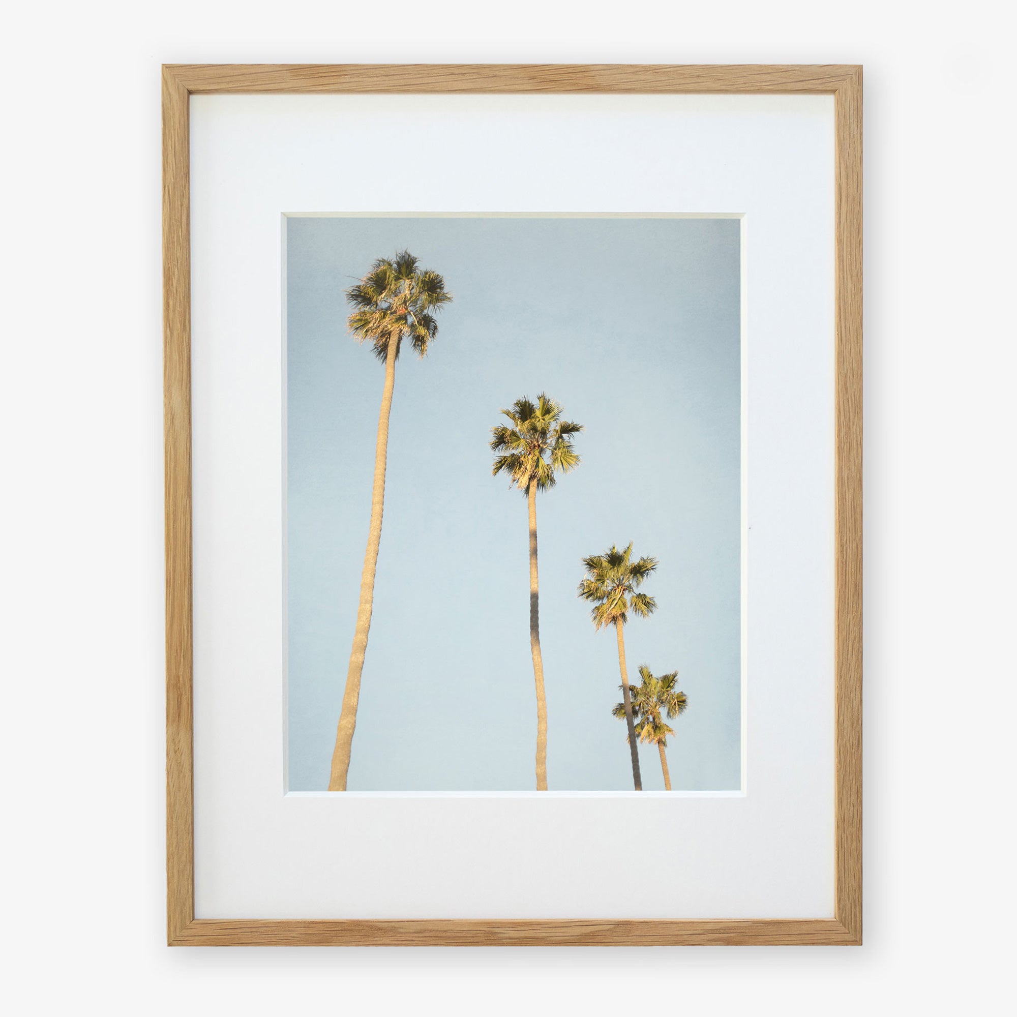 Offley Green's Los Angeles Palm Tree Photographic Print 'Palm Stairs to Heaven'