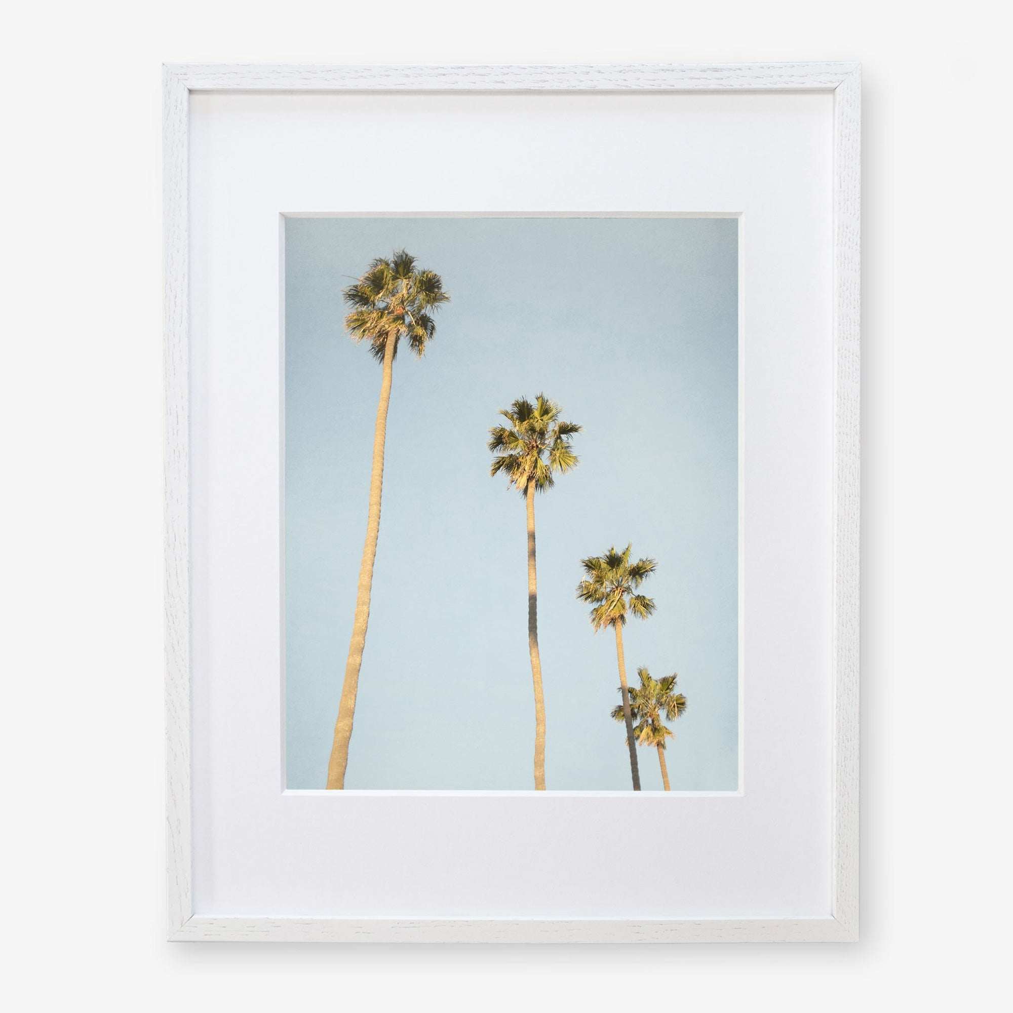 A framed Offley Green photograph depicting four tall palm trees against a clear California sky. The frame is white and the image emphasizes the height and slender trunks of the palms.
