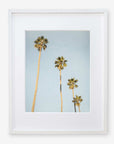 A framed Offley Green photograph depicting four tall palm trees against a clear California sky. The frame is white and the image emphasizes the height and slender trunks of the palms.