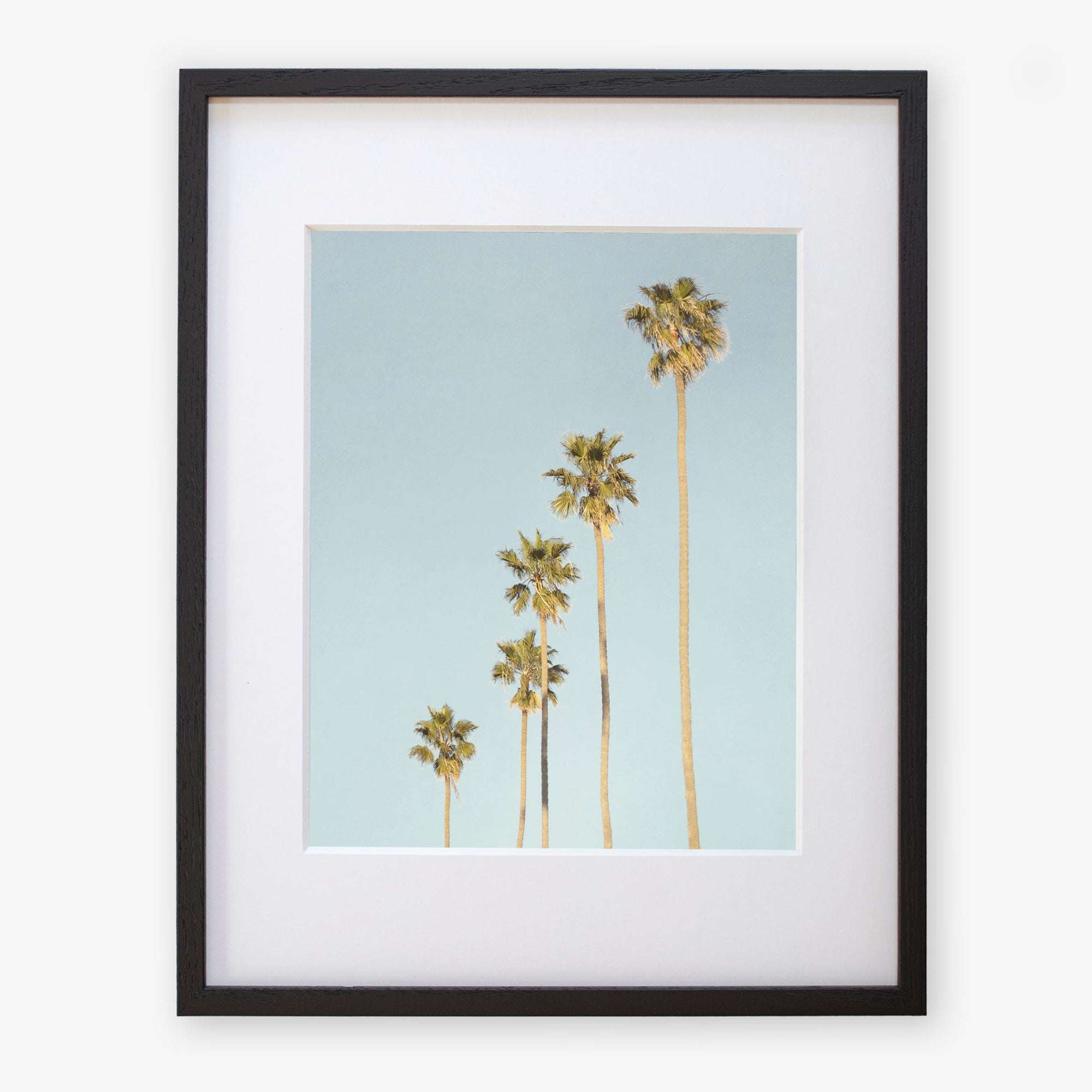 A framed Offley Green &#39;Palm Tree Steps&#39; photographic print featuring six tall palm trees against a clear blue sky, displayed within a black frame with a white mat.
