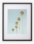 A framed Offley Green 'Palm Tree Steps' photographic print featuring six tall palm trees against a clear blue sky, displayed within a black frame with a white mat.